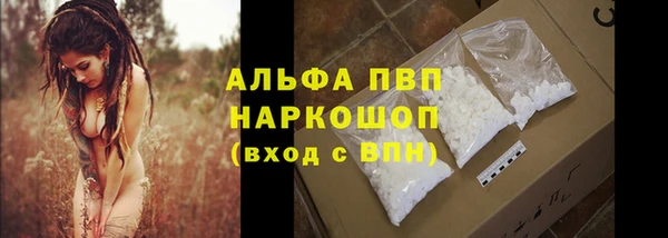 ГАЛЛЮЦИНОГЕННЫЕ ГРИБЫ Абаза
