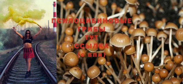 трава Абинск